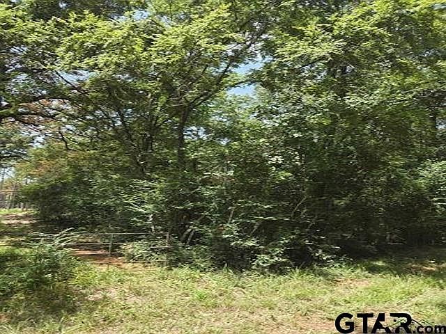 County Road 154 Carthage, TX 75633  | Land/Lot
