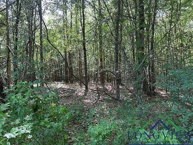 Tbd E Highway 79 Henderson, TX 75652 - Thumbnail 5