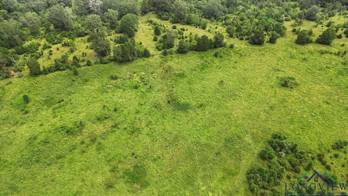 10434 County Road 366 E Henderson, TX 75654 - Thumbnail 5