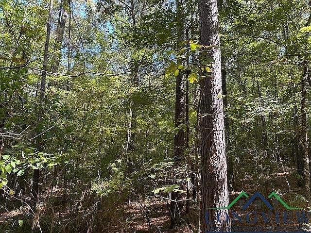 County Road 4682 Carthage, TX 75633 - Thumbnail 5