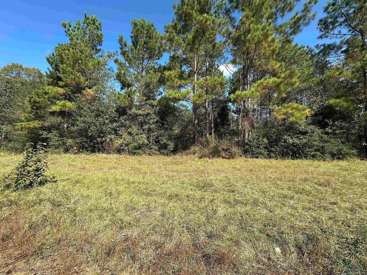 Fm 124 Beckville, TX 75631 - Thumbnail 5