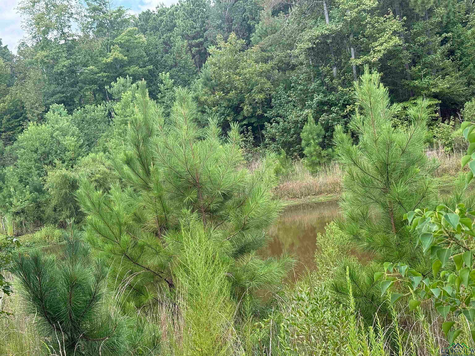 12543 N Fm 225 Cushing, TX 75760 - Thumbnail 5