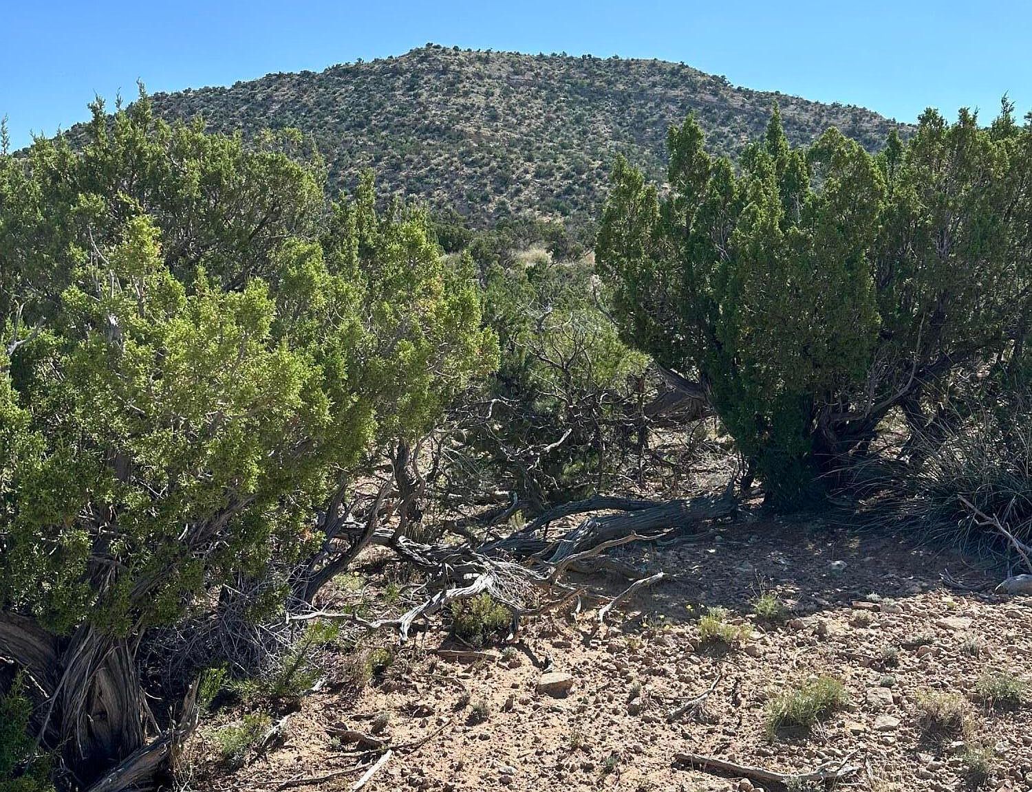 10 San Miguel Trl Mountainair, NM 87036 - Thumbnail 5