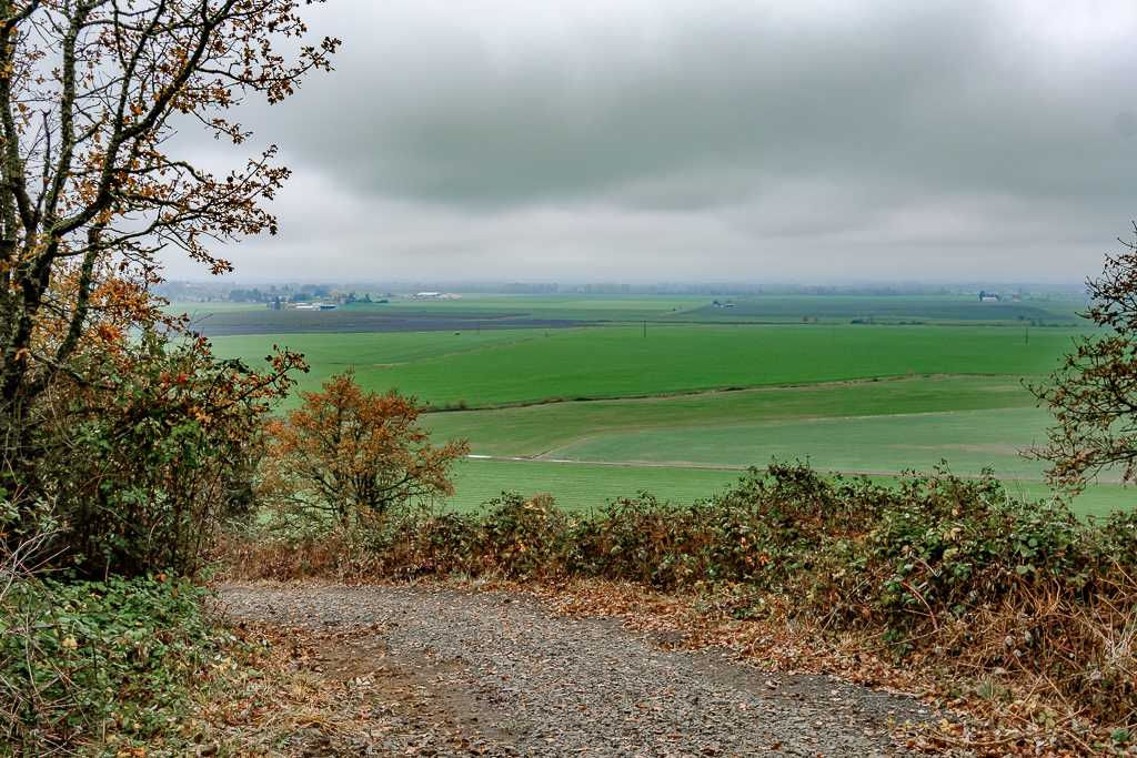 29015 Brownsville Road, Brownsville, OR, USA, 97327 - Thumbnail 5