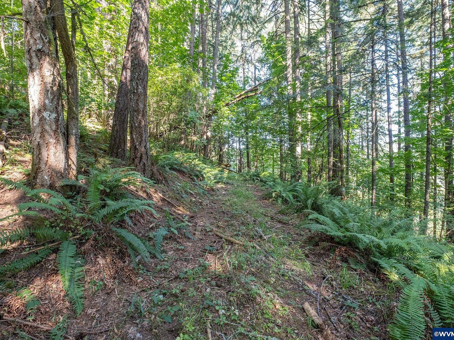 Tl 1400 Bartels Creek Dr Lebanon, OR 97355 - Thumbnail 5