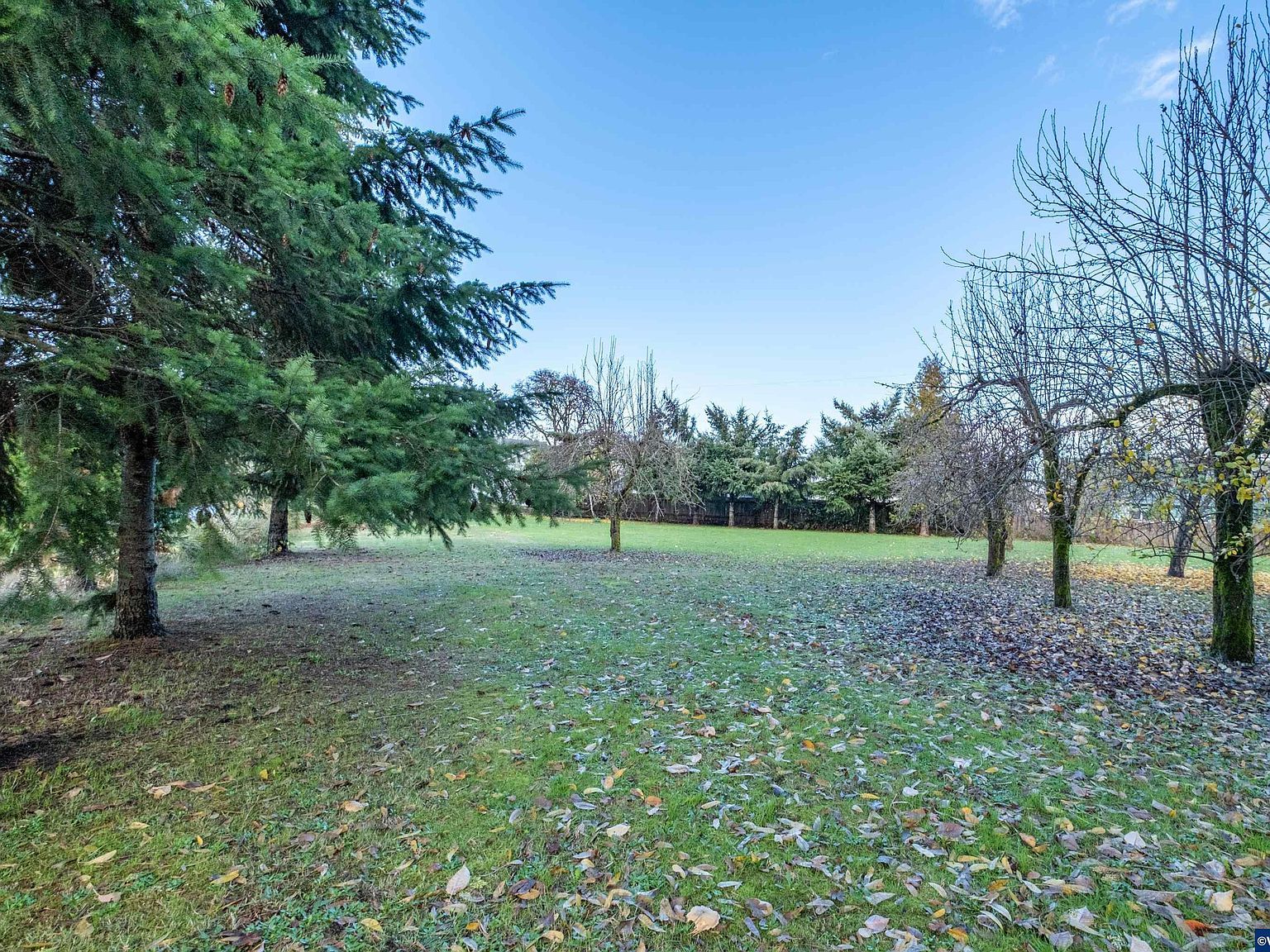 River 200937 Rd Lebanon, OR 97355 - Thumbnail 5