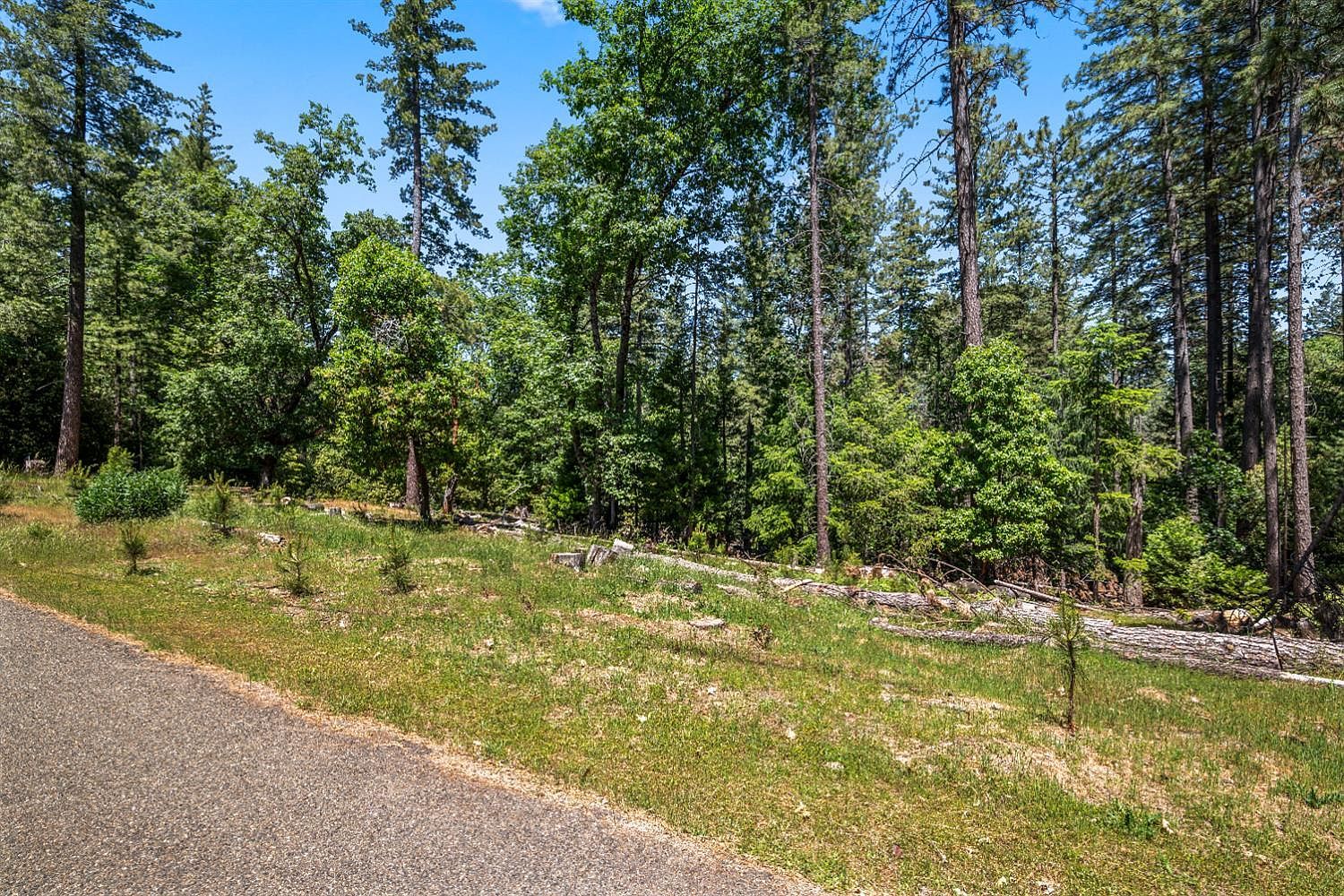 6324 Dickinson Rd Placerville, CA 95667 - Thumbnail 5