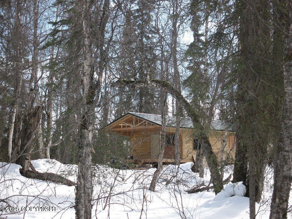 TR Road B No Rd Trapper Creek, AK 99683 - Thumbnail 5