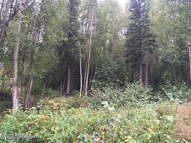 13601 S Knik Goose Bay Rd Wasilla, AK 99623 - Thumbnail 5