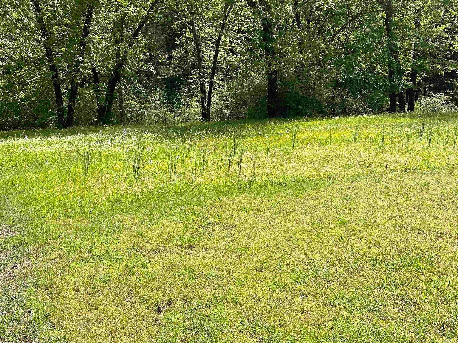 17 Brighton Pointe Ln Heber Springs, AR 72543 - Thumbnail 5