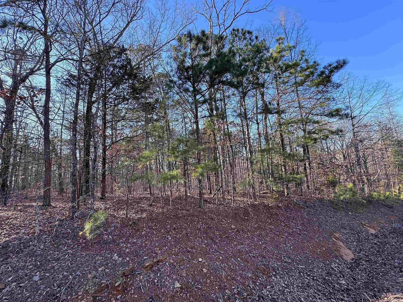 0 Miller Point Rd N Quitman, AR 72131 - Thumbnail 5