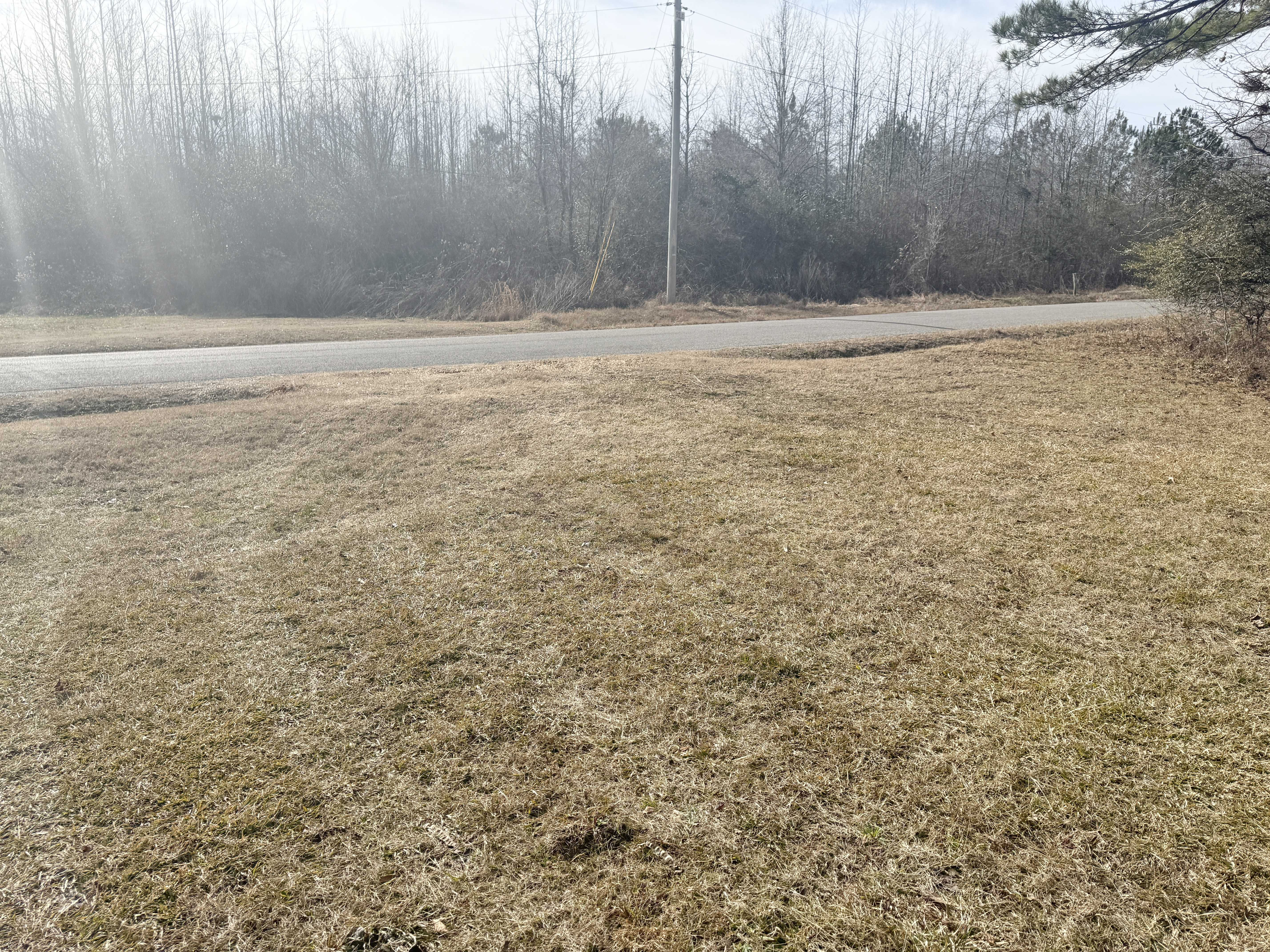 50002 Sunset Point Drive, Amory, MS, USA, 38821 - Thumbnail 5