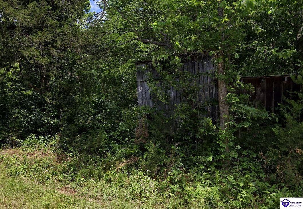 2728 Constantine Rd Cecilia, KY 42724 - Thumbnail 5