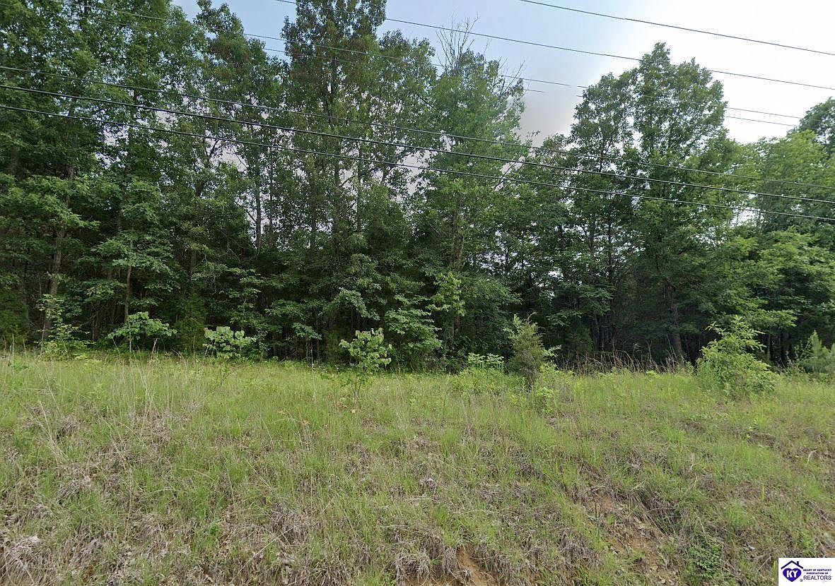 0 Blue Bird Rd Falls Of Rough, KY 40119  | Land/Lot