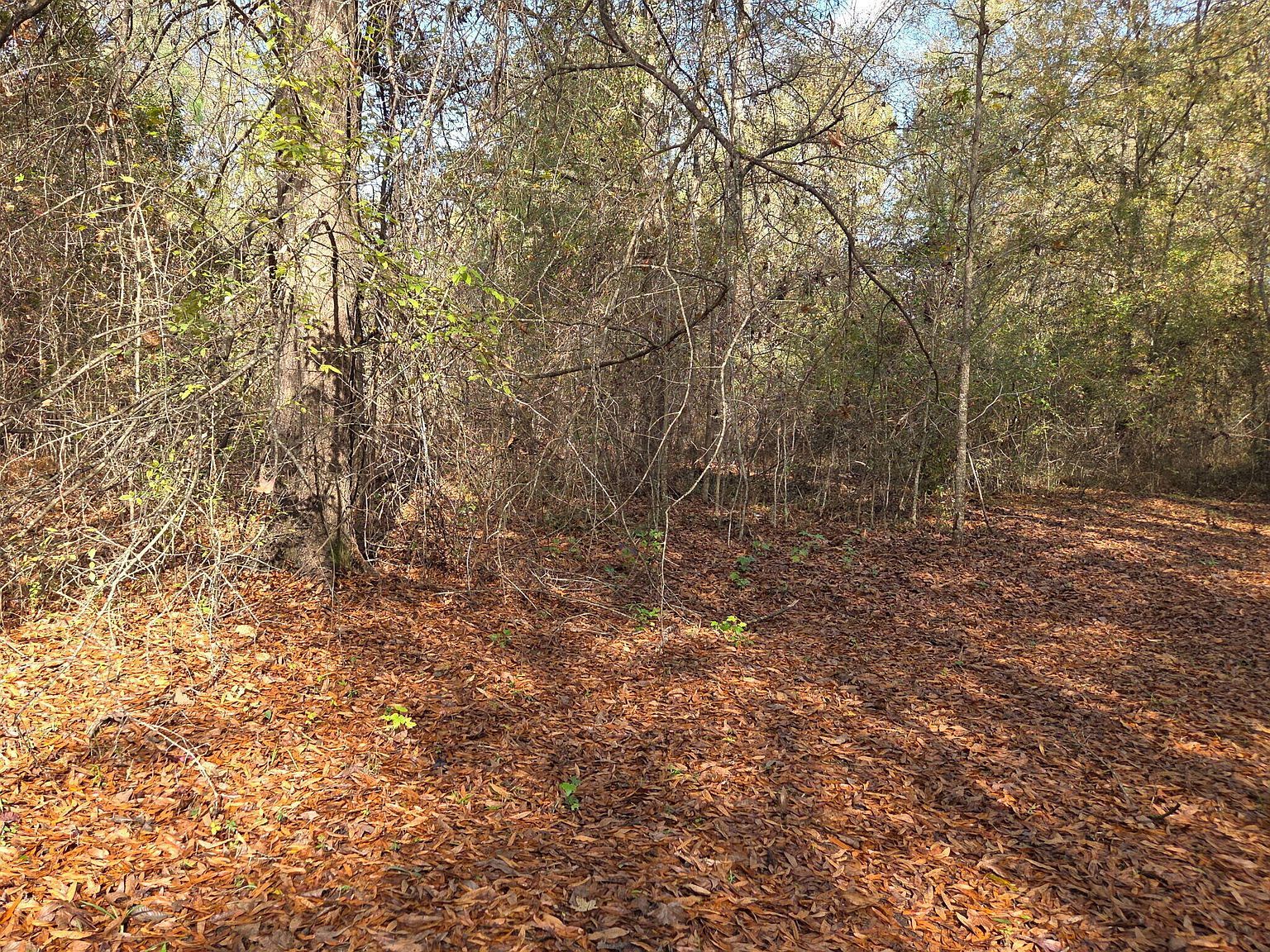 6699 County Road 280 Vossburg, MS 39366 - Thumbnail 5