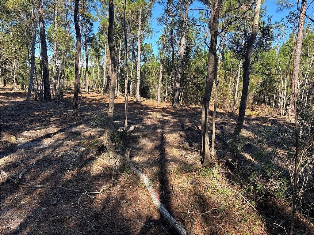 0 Shell Belt Rd S Coden, AL 36523 - Thumbnail 5