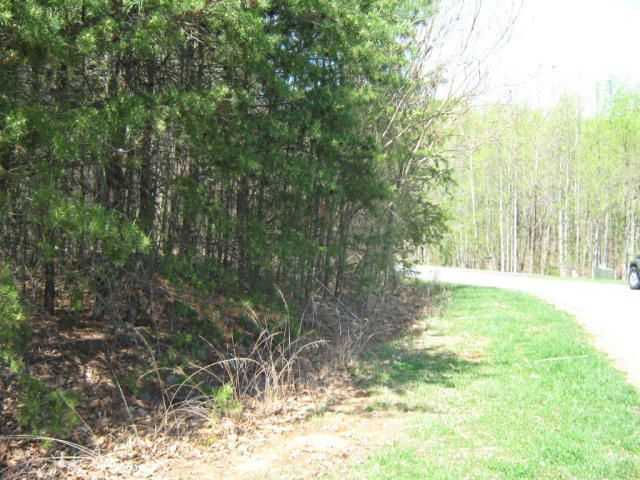 Lot 86 Winding Waters Drive, Moneta, VA, 24121 - Thumbnail 5