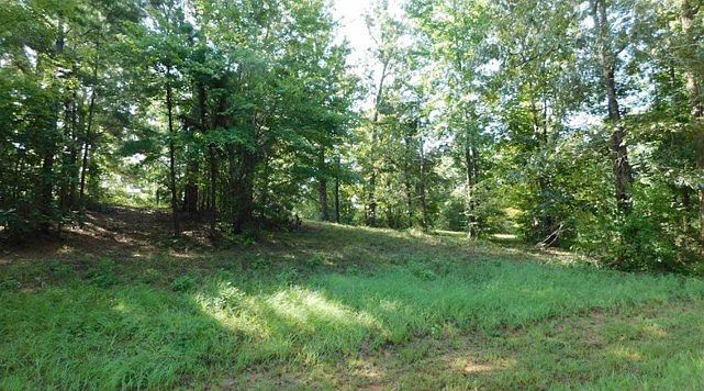 509 Eagle Estates Cir Hemphill, TX 75948 - Thumbnail 5