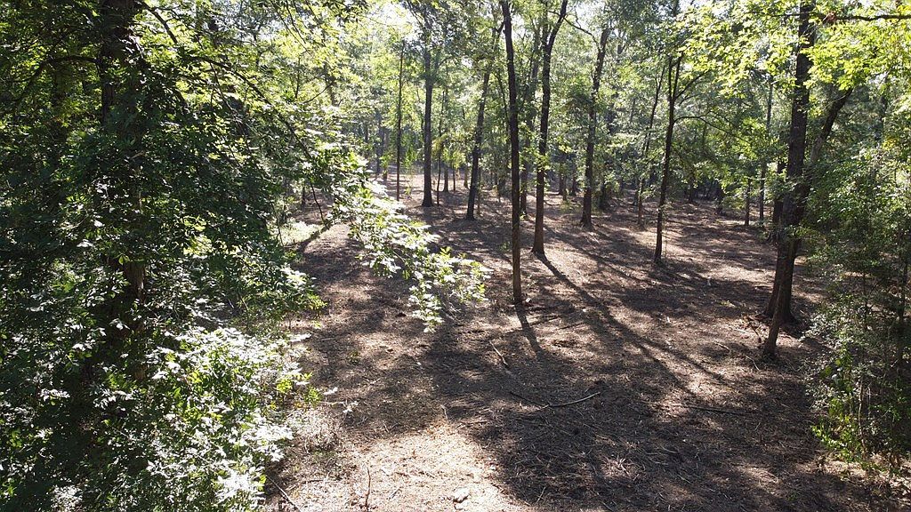 359 Mallard St Hemphill, TX 75948 - Thumbnail 5