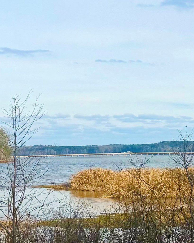 407 Tejas Dr W Hemphill, TX 75948 - Thumbnail 5