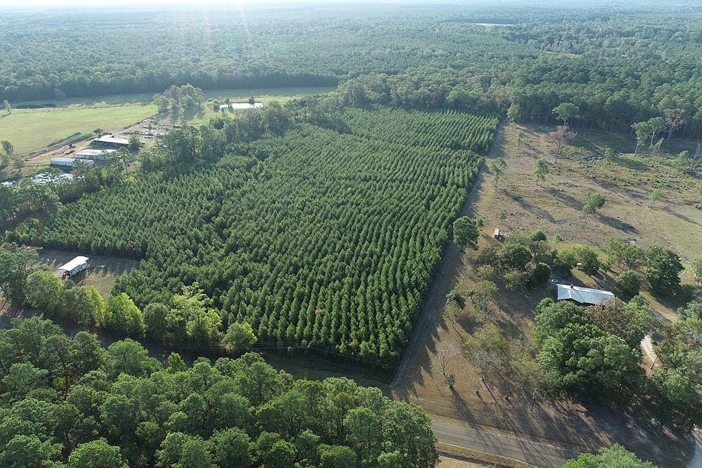 1275 Beckcom Rd Hemphill, TX 75948 - Thumbnail 5