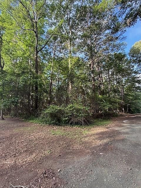 742 Bowline Dr Hemphill, TX 75948 - Thumbnail 5