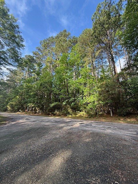 894 Bowline Dr Hemphill, TX 75948 - Thumbnail 5