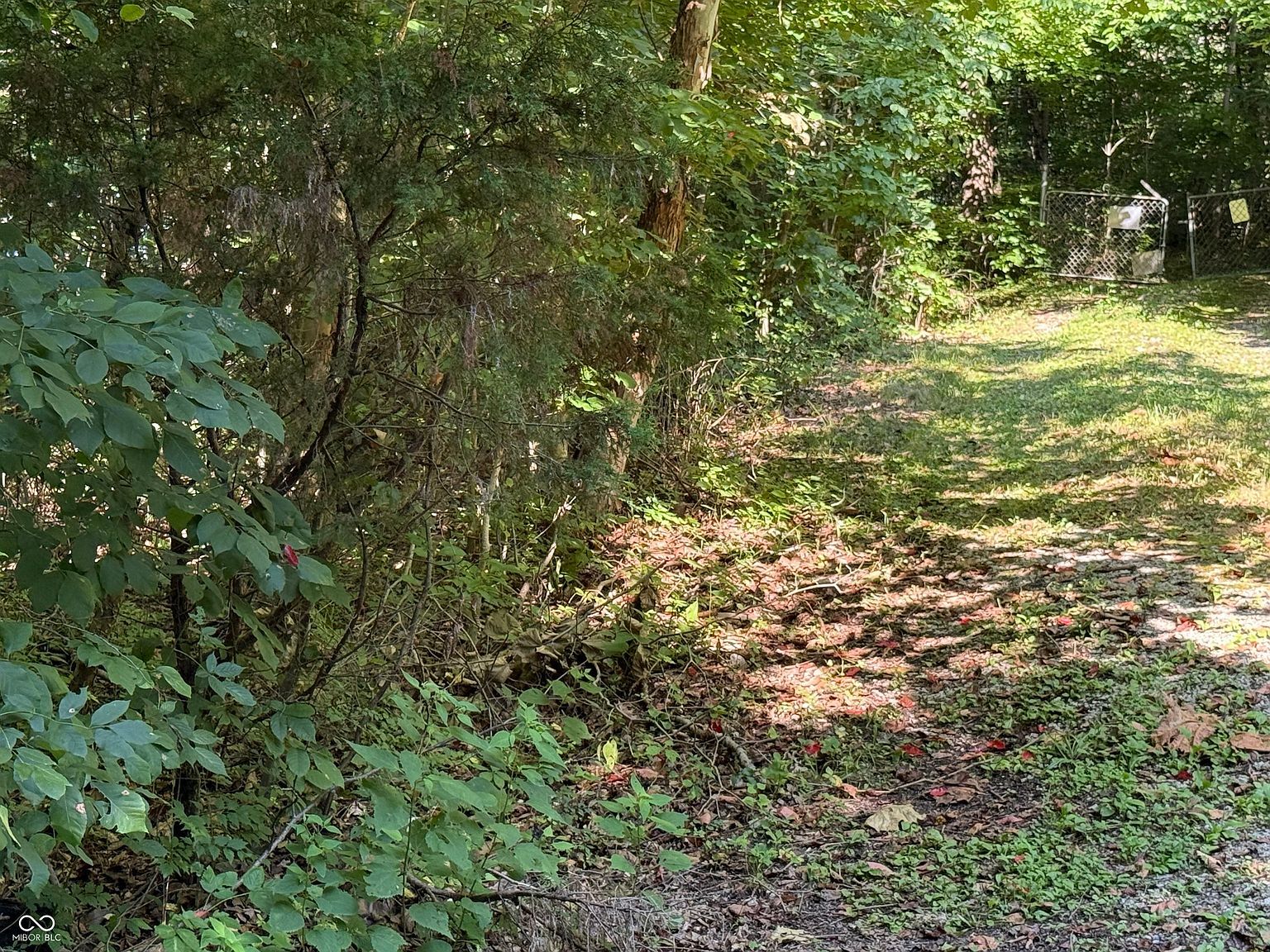 8401 Buffalo Rd Poland, IN 47868 - Thumbnail 5