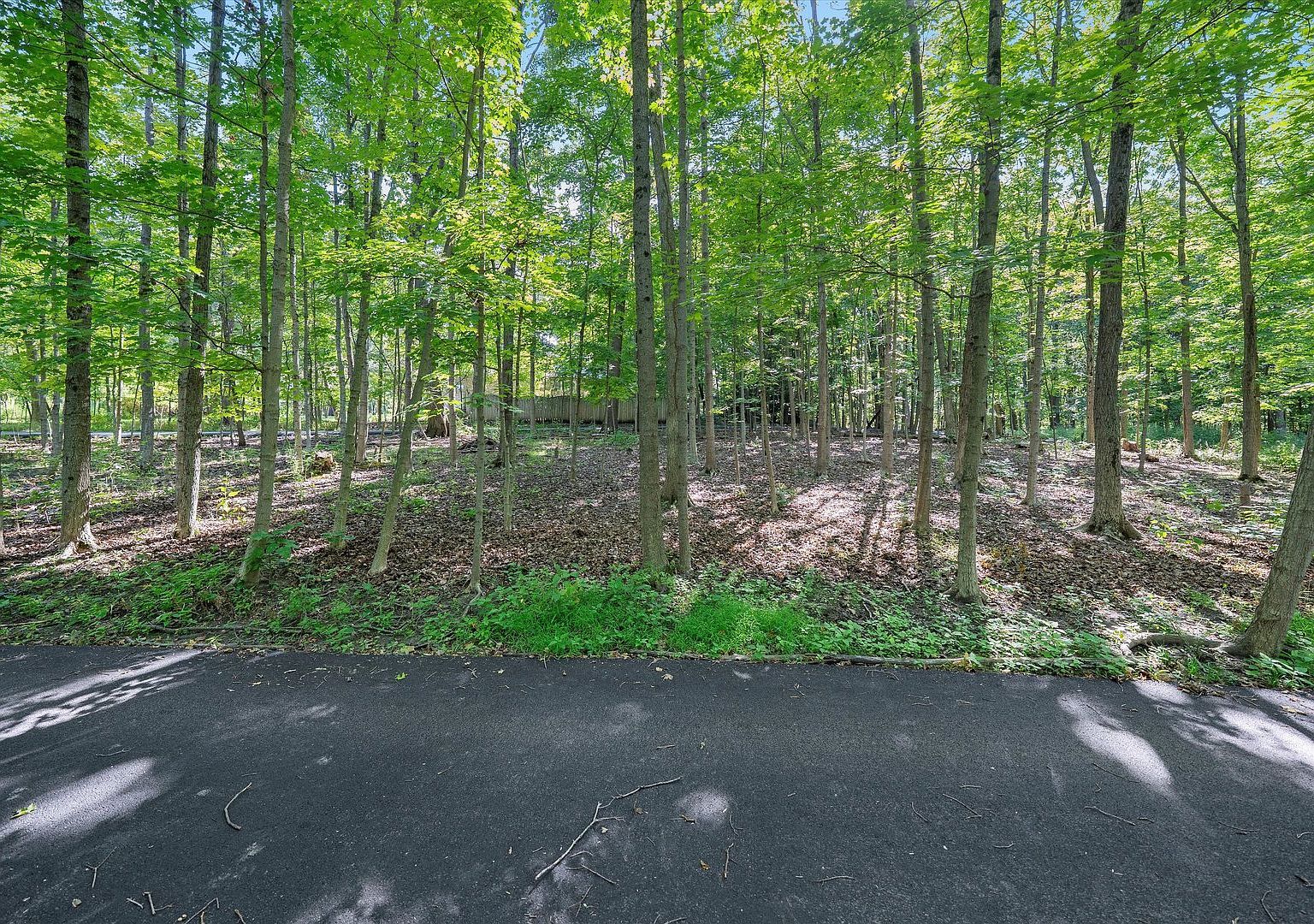 832 Ironwood Dr LOT 3 Frankfort, IL 60423 - Thumbnail 5