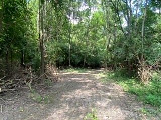 1111 Bull Rd New Lebanon, OH 45345 - Thumbnail 5