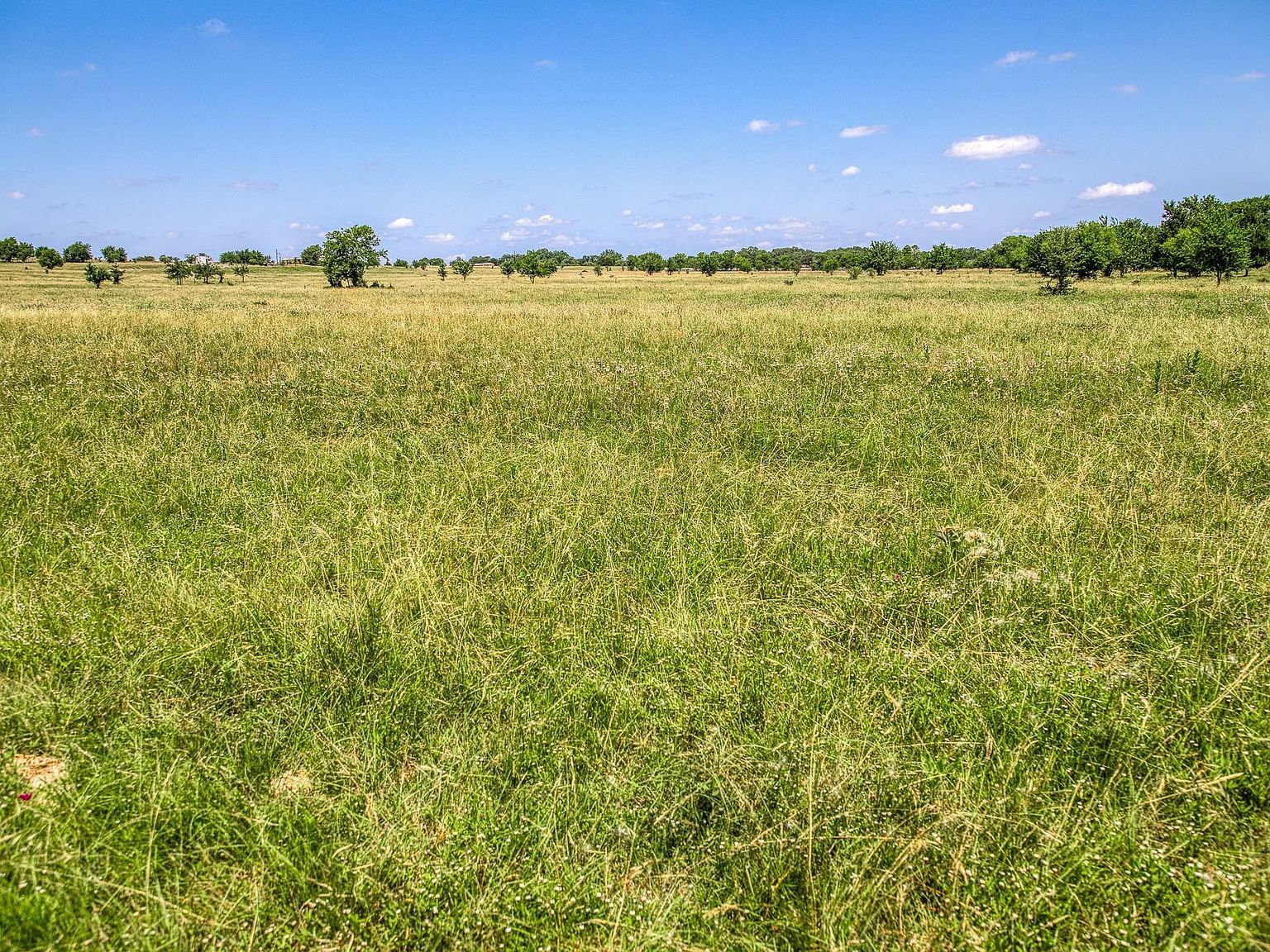 Fm 2621 Brenham, TX 77833 - Thumbnail 5