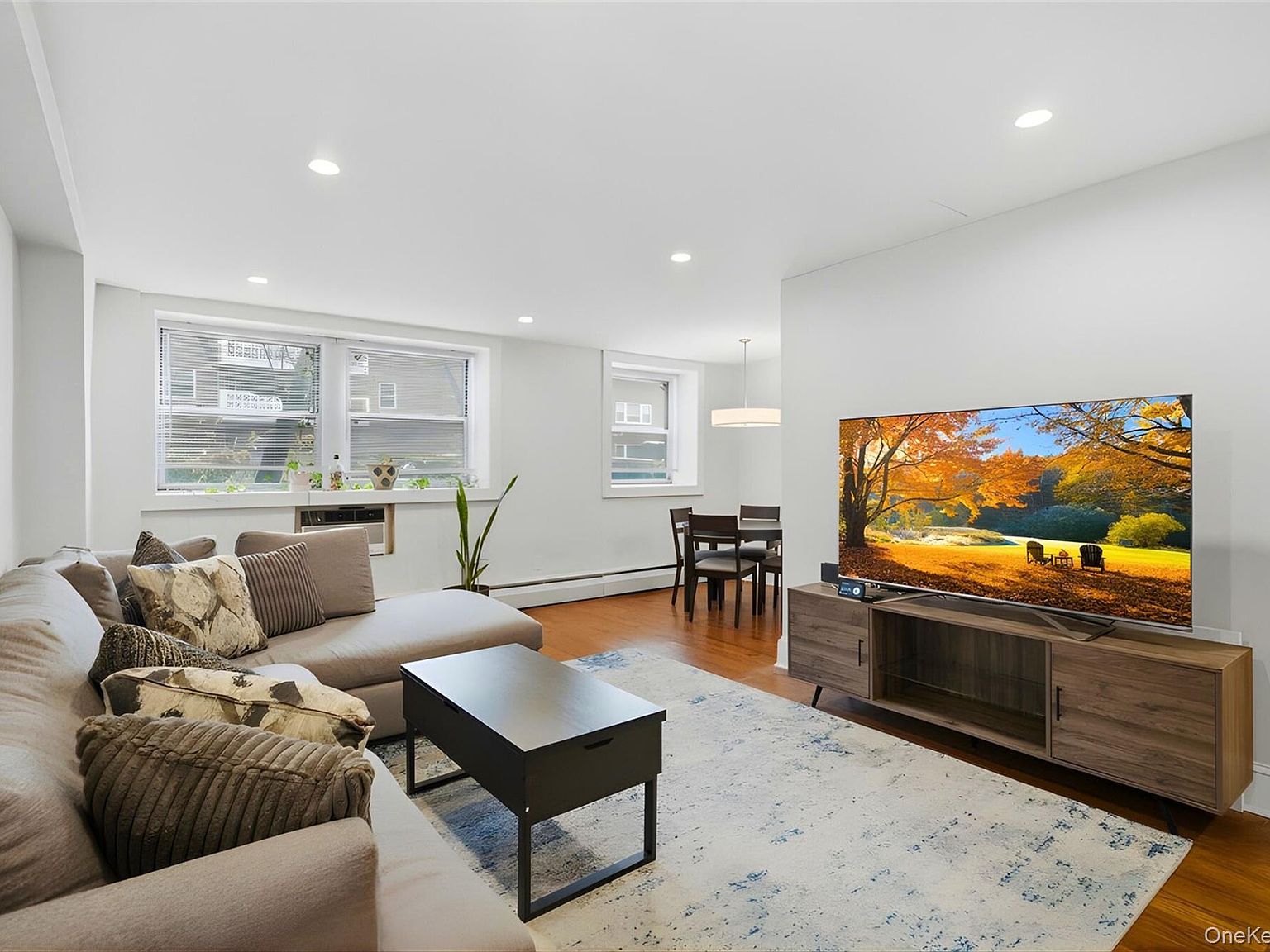 45 Hill Park Ave APT PR2 Great Neck, NY 11021 - Thumbnail 5