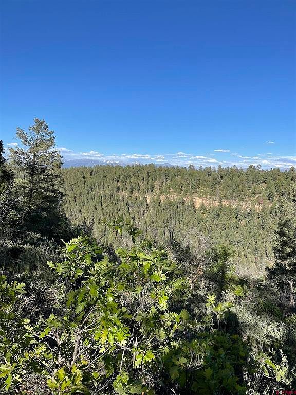 Xx West Hwy #160 Pagosa Springs, CO 81147 - Thumbnail 5