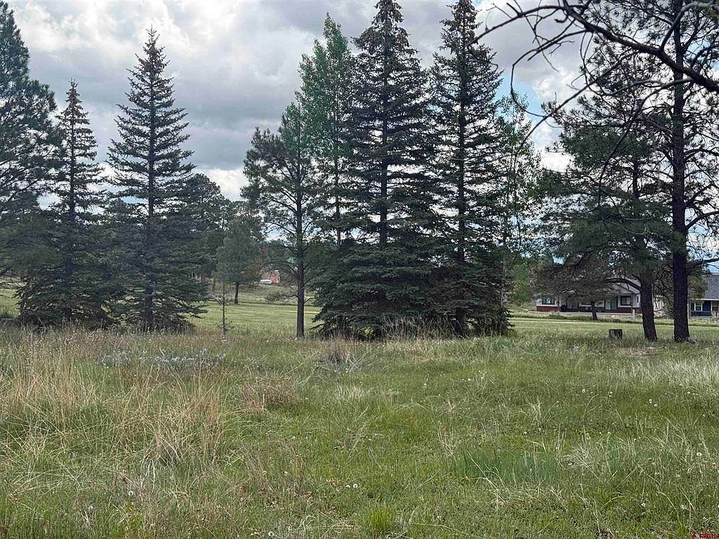 201 Pines Club Pl Pagosa Springs, CO 81147 - Thumbnail 5
