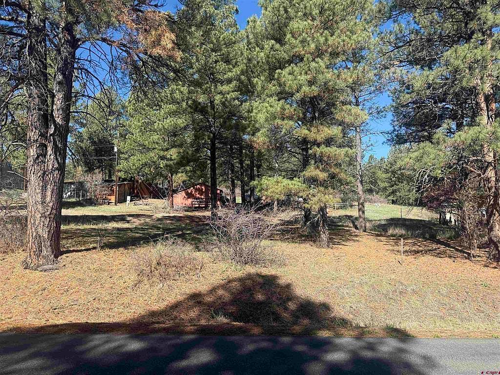 19 Bienvenido Cir Pagosa Springs, CO 81147 - Thumbnail 5