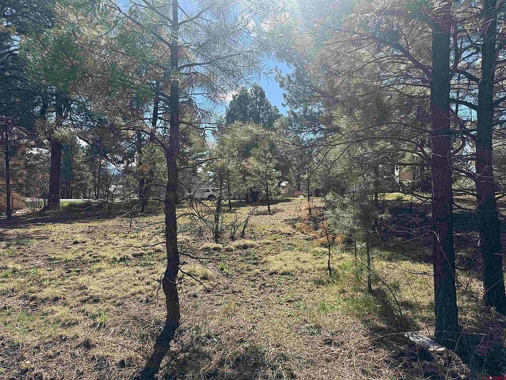 33 Granite Ct Pagosa Springs, CO 81147 - Thumbnail 5