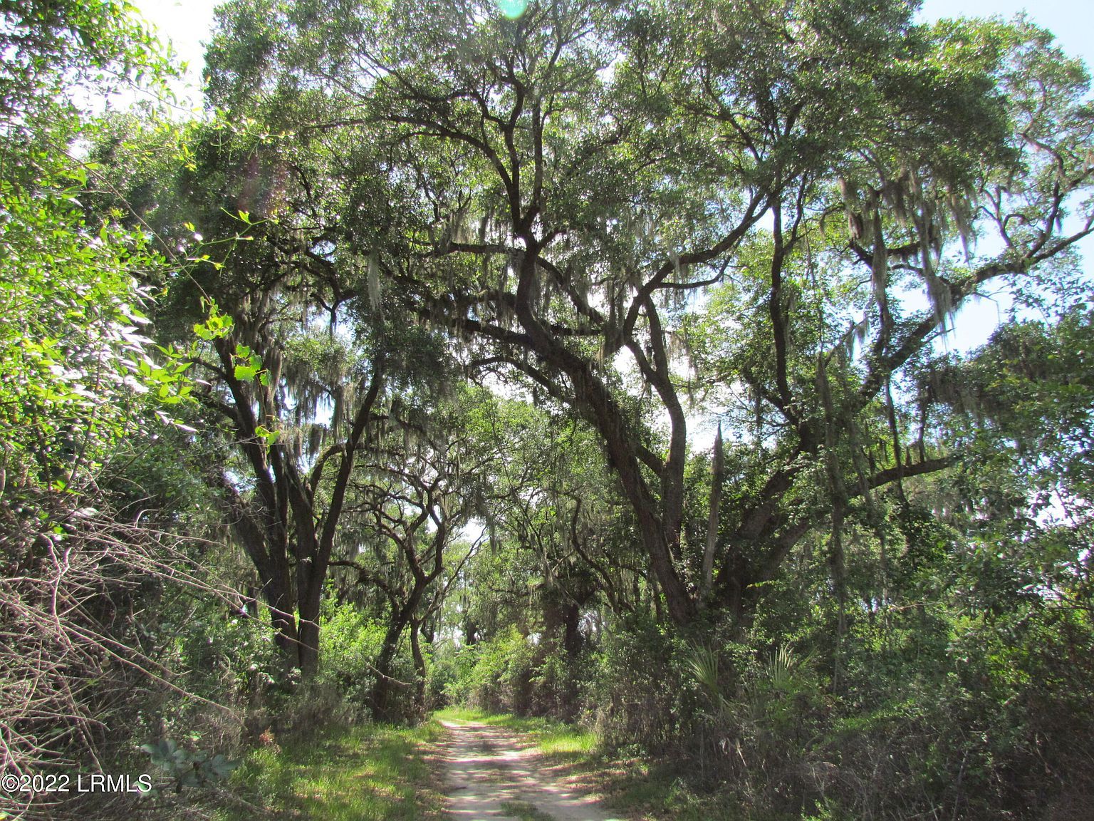 214 Seabrook Rd Seabrook, SC 29940 - Thumbnail 5