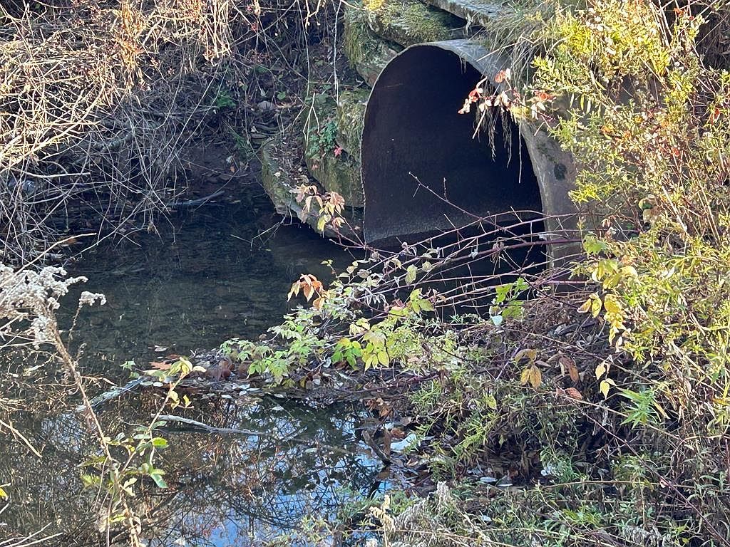 0 Dewey Hollow Rd Mainesburg, PA 16932 - Thumbnail 5