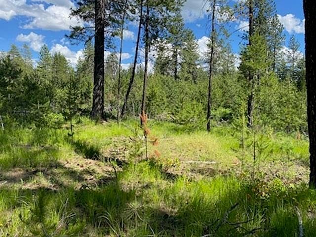 Xx W Montgomery Rd LOT C Deer Park, WA 99006 - Thumbnail 5