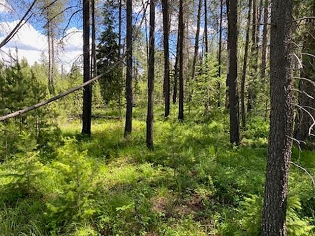 Xx W Montgomery Rd LOT A Deer Park, WA 99006 - Thumbnail 5