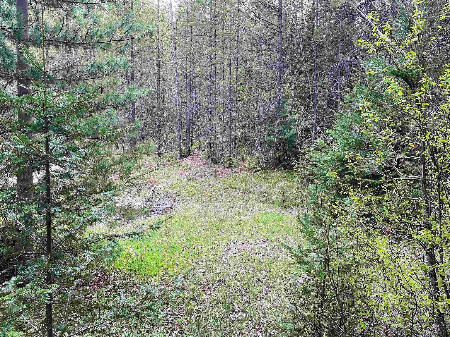 18 E Wallis Rd Mead, WA 99021 - Thumbnail 5