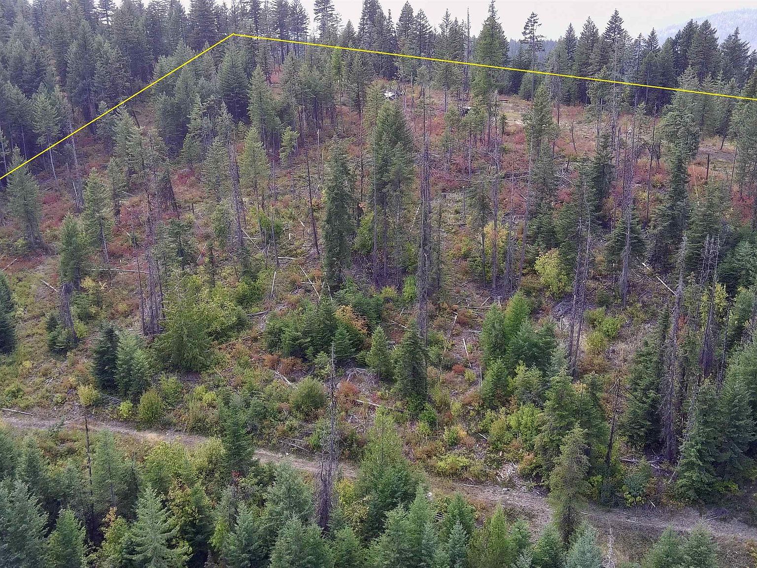 2784 Red Tail Way Colville, WA 99114 - Thumbnail 5