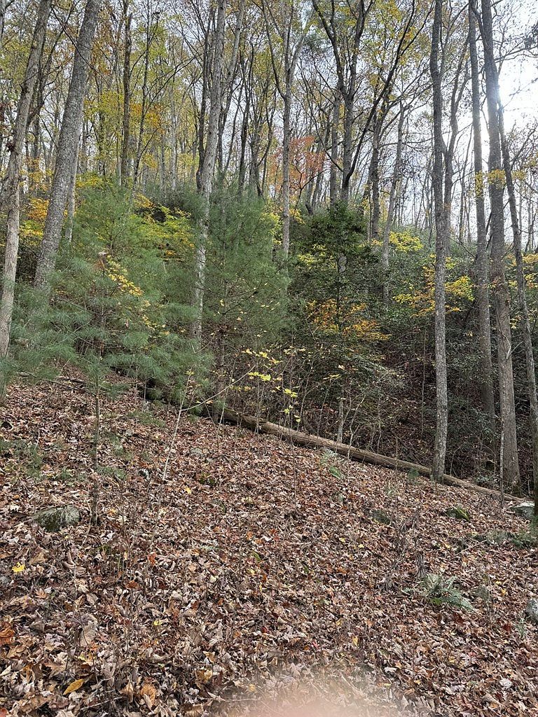 0 Heritage Trl Brasstown, NC 28902 - Thumbnail 5