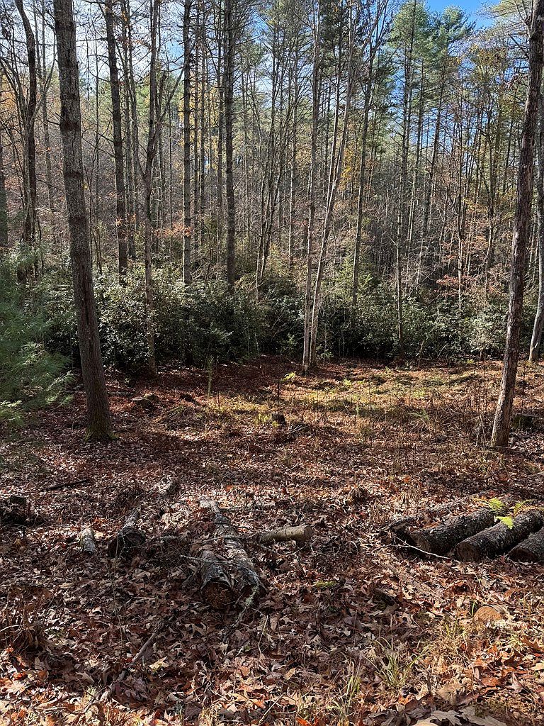 0 Rock Ridge Rd Murphy, NC 28906 - Thumbnail 5