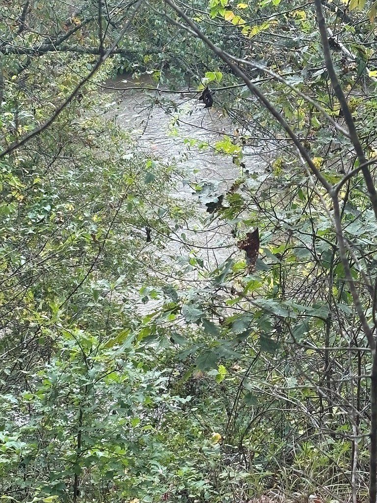 0 Beaver Ridge Rd Murphy, NC 28906 - Thumbnail 5