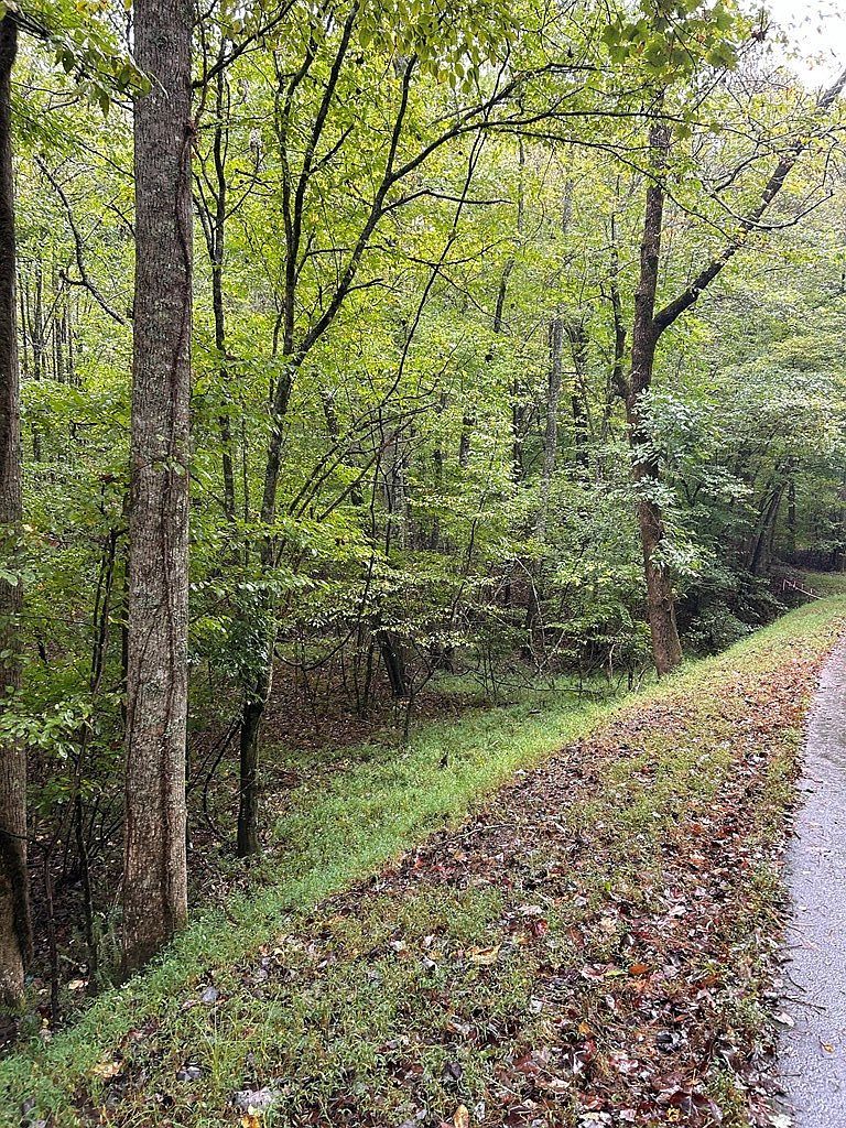 0 Johnsonville Rd Murphy, NC 28906 - Thumbnail 5