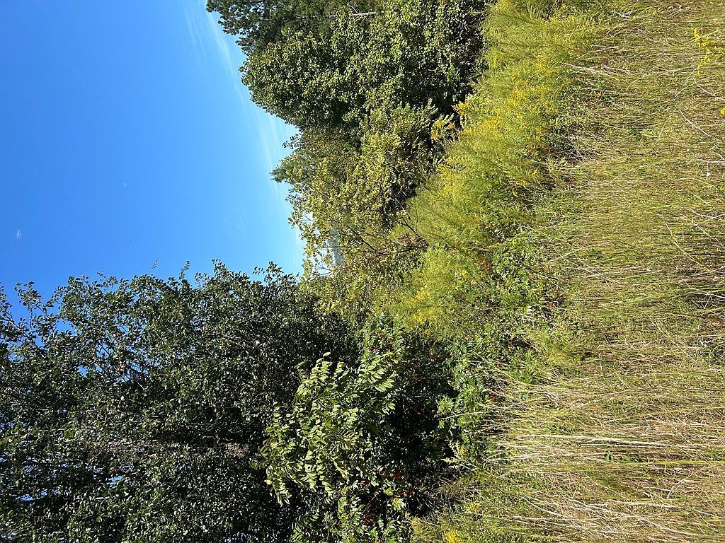 24 My Easy St Murphy, NC 28906 - Thumbnail 5