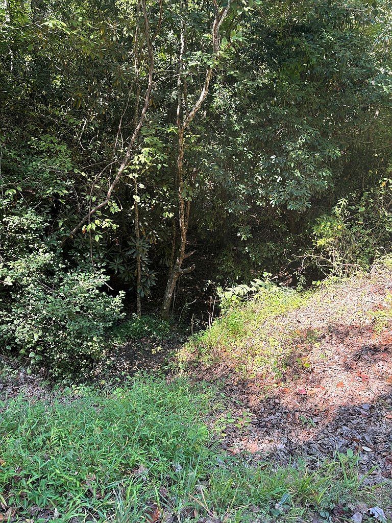 0 Hy Cobb Dr Murphy, NC 28906 - Thumbnail 5