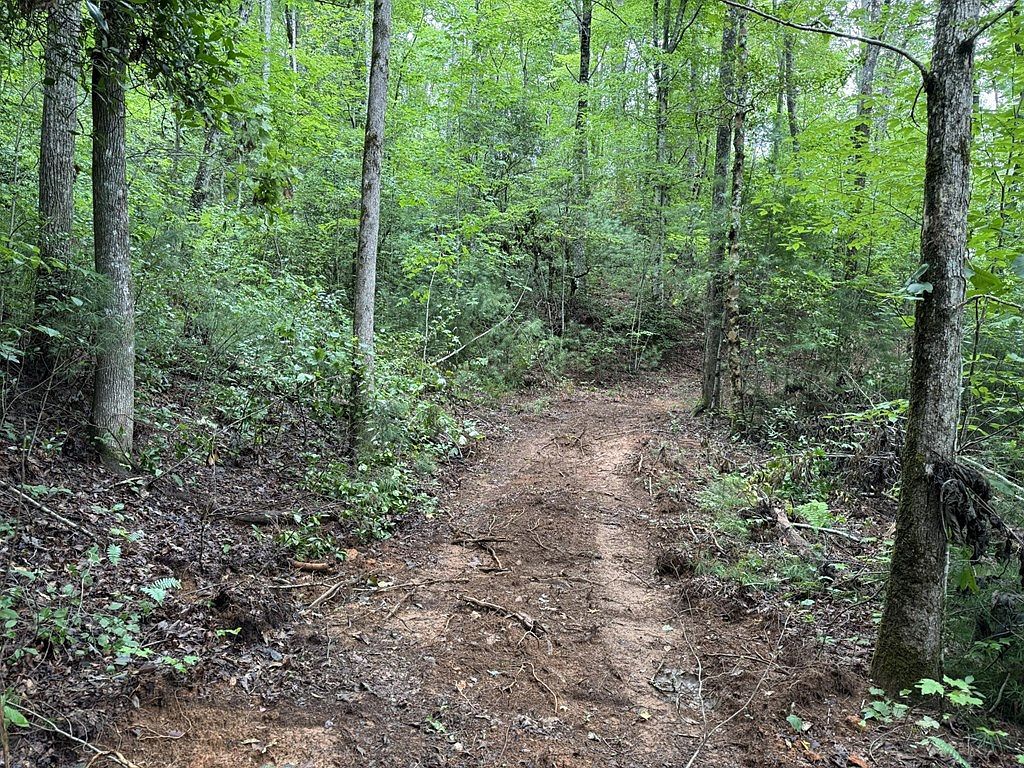 0 Owl Creek Rd Murphy, NC 28906 - Thumbnail 5