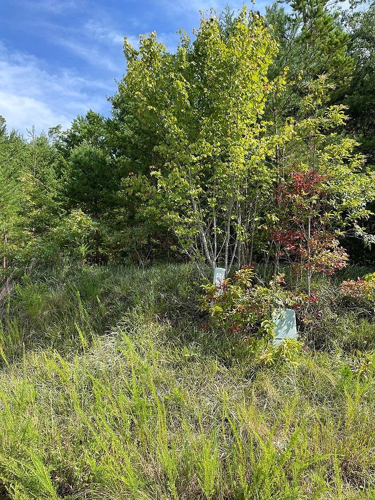 380 Sterling Point Murphy, NC 28906 - Thumbnail 5